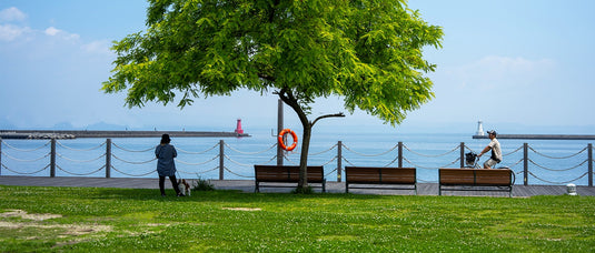 Celebrating Earth Day with Sustainable Solutions: Globalshelf's Commitment to Environmental Protection