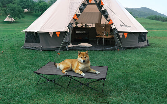 Dog Camping