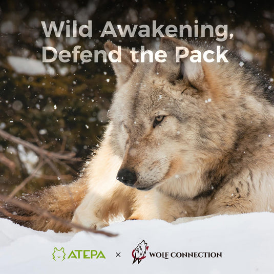 ATEPA 3-in-1 Backpacking Sleeping Bag Down Sleeping Bag 44.6°F to 10.4°F