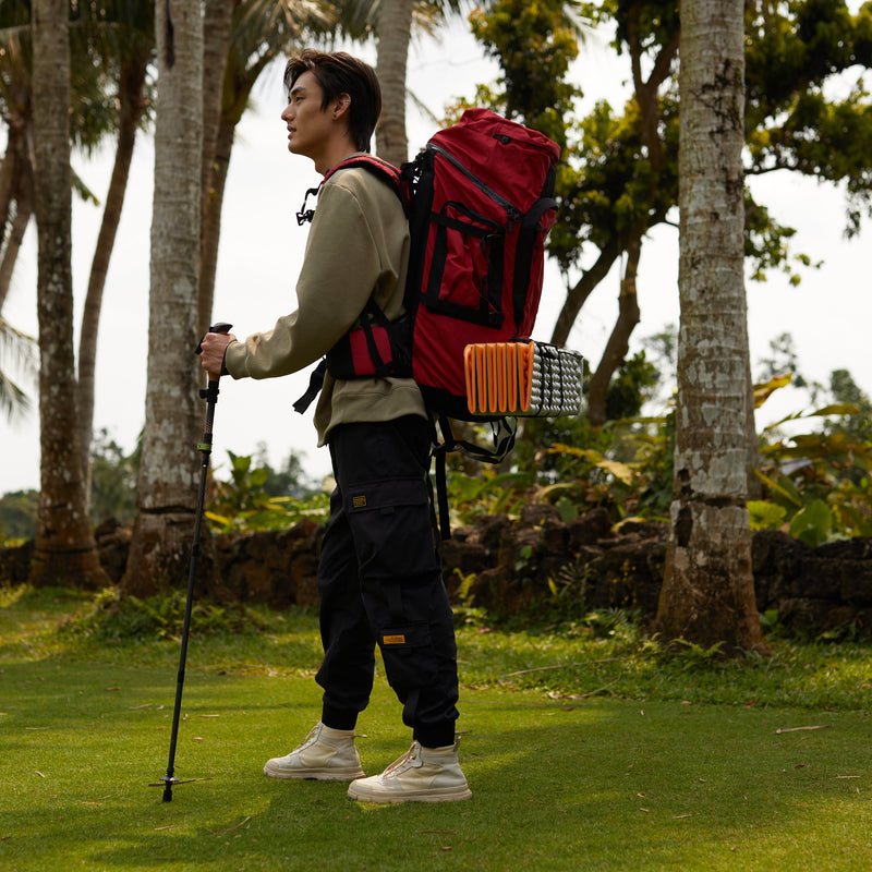 Load image into Gallery viewer, ATEPA Carbon Fiber Trekking Poles – Ultra-Lightweight, Foldable Hiking &amp; Walking Sticks (Pair)
